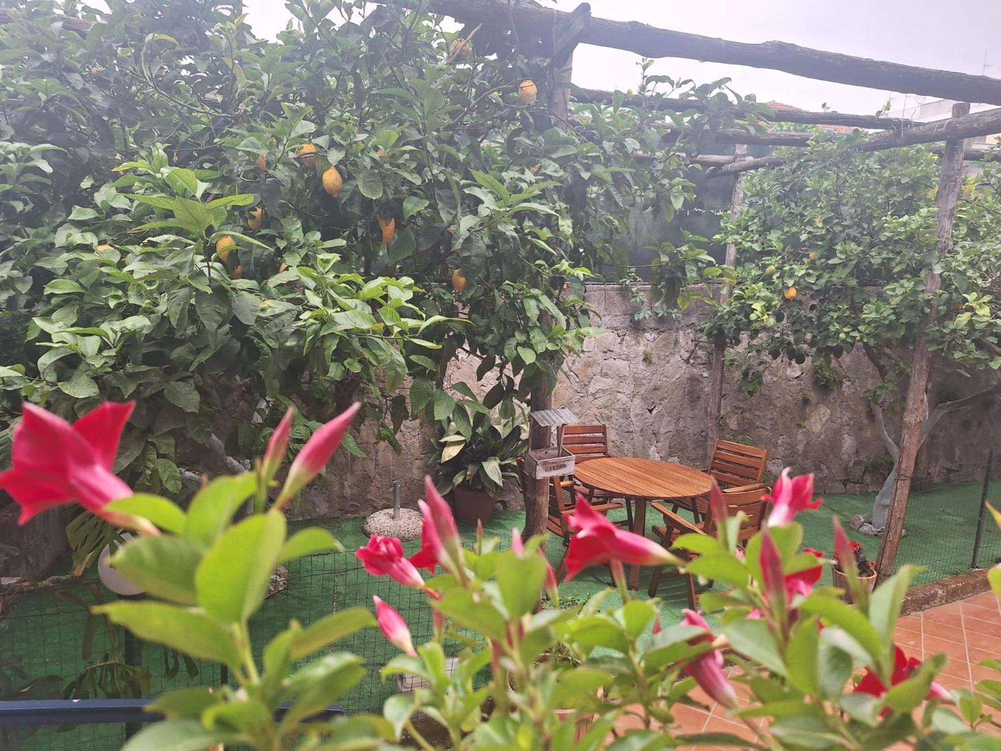 Grazia'S Home Sant'Agnello Buitenkant foto