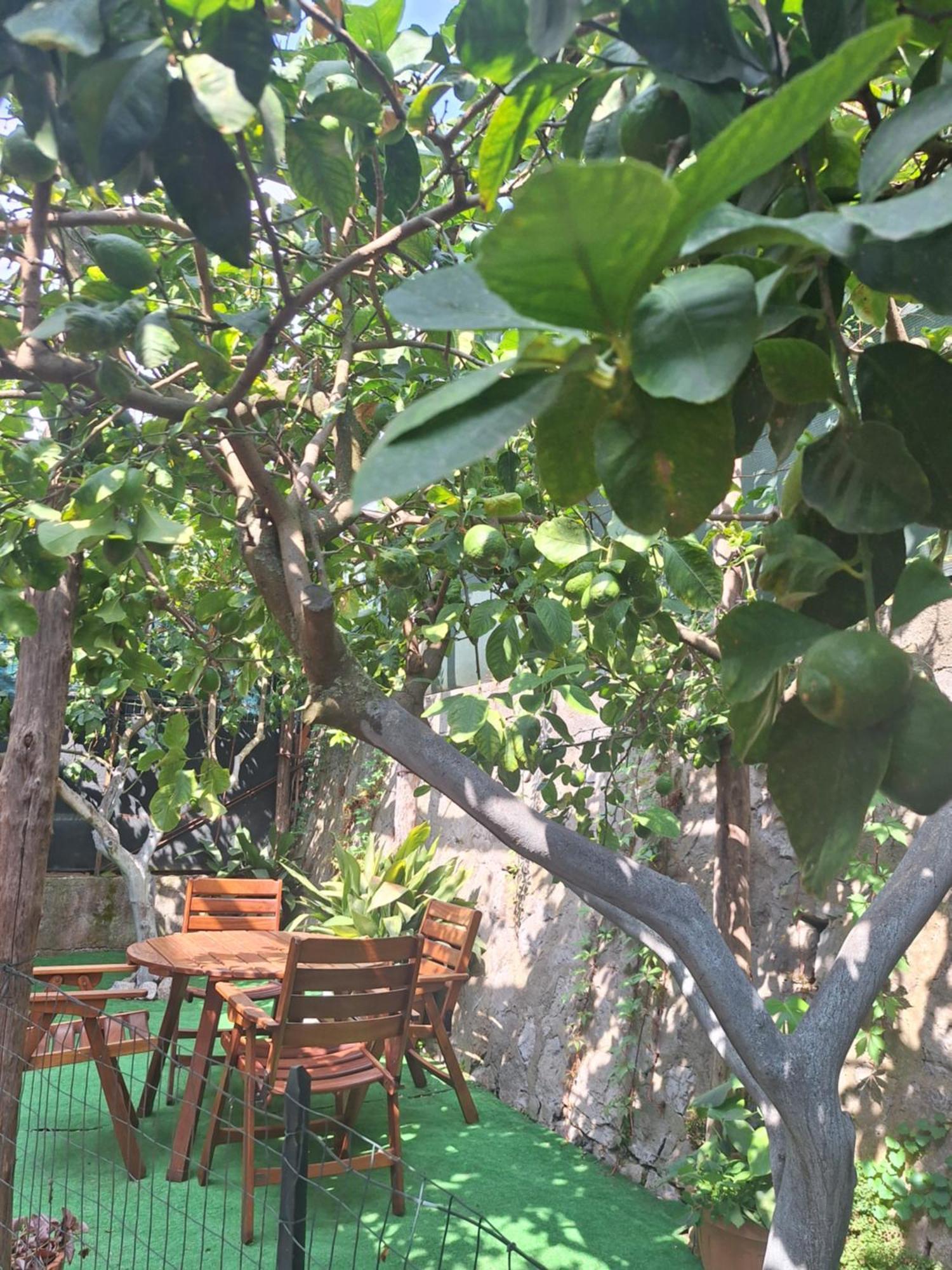 Grazia'S Home Sant'Agnello Buitenkant foto